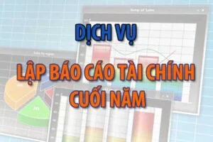 Công Ty TNHH Kế Toán Và Tư Vấn Thuế Đức Trí