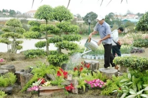 Chi Nhánh Công Ty TNHH Ngoại Thất Xanh