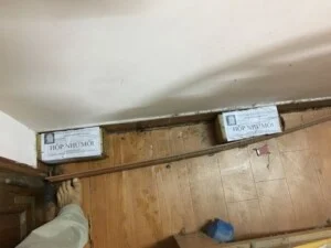 Công Ty TNHH Một Thành Viên Trung Tâm Khoa Học Kỹ Thuật lâm Nghiệp Việt Nam