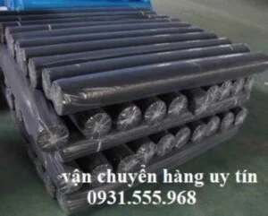 Chi Nhánh Công Ty TNHH Dịch Vụ Vận Tải Sài Gòn 24h
