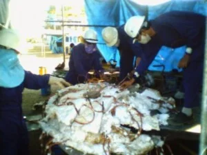 I.T.S Heat Treatment – Công Ty TNHH Dịch Vụ Xử Lý Nhiệt I.T.S