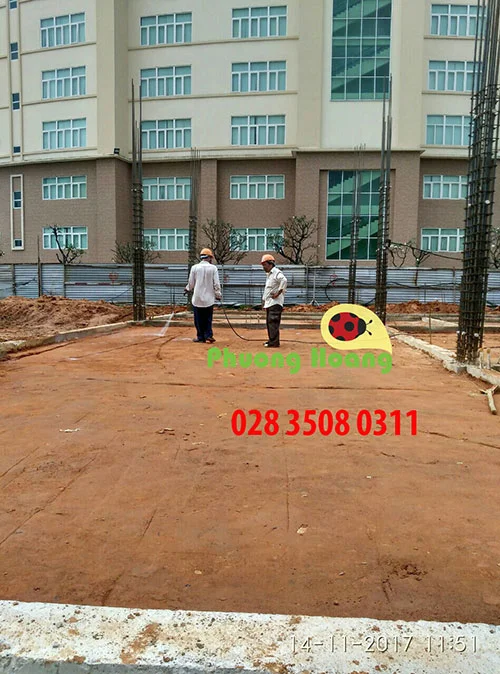 Công Ty TNHH Trừ Mối Và Côn Trùng Phượng Hoàng