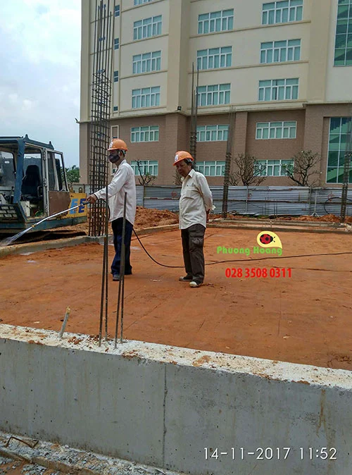 Công Ty TNHH Trừ Mối Và Côn Trùng Phượng Hoàng