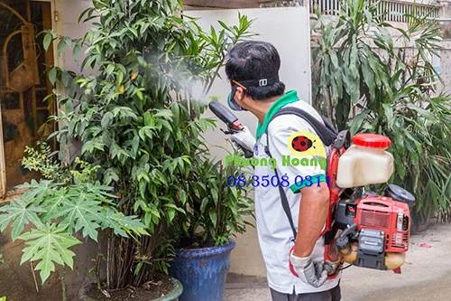 Công Ty TNHH Trừ Mối Và Côn Trùng Phượng Hoàng