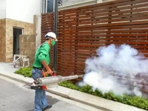 Công Ty TNHH Tư Vấn Đầu Tư Và Thương Mại An Phong