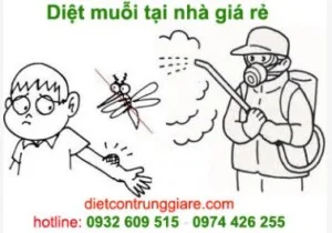 Diệt Côn Trùng Green House – Công Ty TNHH Thương Mại Dịch Vụ Green House