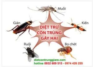 Diệt Côn Trùng Green House – Công Ty TNHH Thương Mại Dịch Vụ Green House