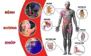 Đông Y Sơn Hà – Công Ty TNHH Đông Y Dược Sơn Hà