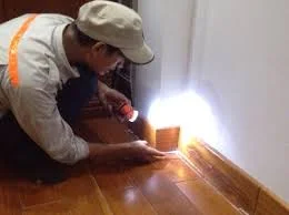 Công Ty TNHH Diệt Côn Trùng – Khử Trùng Quốc Tế