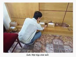 Công Ty TNHH Diệt Côn Trùng – Khử Trùng Quốc Tế