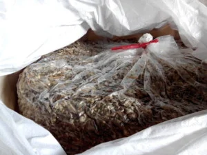 Bao Bì Tam Dương – Công Ty Cổ Phần Bao Bì Tam Dương