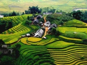 Công Ty Cổ Phần Phát Thành Giang