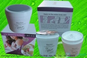 Công Ty TNHH Tạo Lập SPA