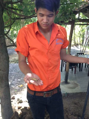 Công Ty Cổ Phần Đầu Tư Và Phát Triển Ánh Sáng