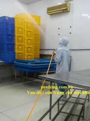Công Ty TNHH Kiểm Soát Dịch Hại Quốc Tế