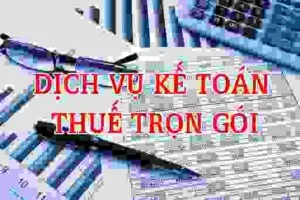 Chi Nhánh – Công Ty CP Đại Lý Thuế Viện Kế Toán Việt Nam