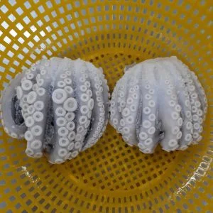 Thủy Hải Sản Thế Khánh – Công Ty TNHH Thế Khánh