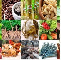 Công Bố Hợp Quy LYT – Công Ty TNHH LYT Vietnam