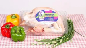 Công Ty TNHH San Hà