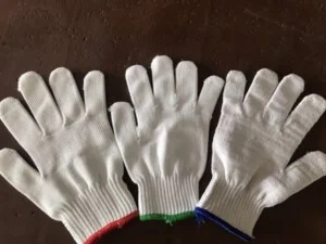 Chi Nhánh Đồng Nai – Công Ty TNHH NEW PT WIN