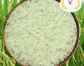 Việt Long Food – Công Ty TNHH MTV Chế Biến Lương Thực Việt Long