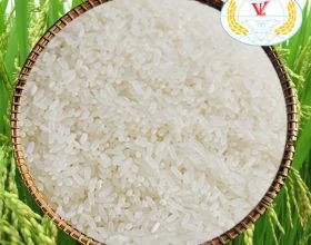 Việt Long Food – Công Ty TNHH MTV Chế Biến Lương Thực Việt Long