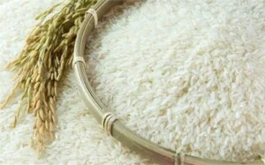 Thực Phẩm An Đại Hải – Công Ty TNHH An Đại Hải