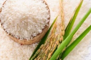 Gạo Thành Nam – Công Ty Cổ Phần Nông Sản Thực Phẩm Thành Nam