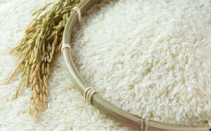 Gạo Gia Phú – Công Ty TNHH Nông Sản Gia Phú