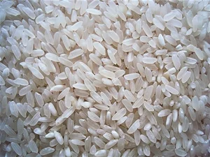 Gạo Gia Phú – Công Ty TNHH Nông Sản Gia Phú