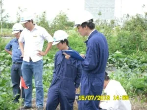 Chi Nhánh – NAVICONTROL – Công Ty Cổ Phần Giám Định Nam Việt