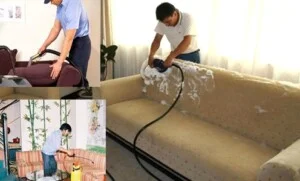 Công Ty TNHH Dịch Vụ Tổng Hợp Hoàng Hòa