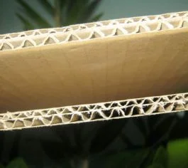 Bao Bì Cường Thịnh Phát – Công Ty TNHH Bao Bì Cường Thịnh Phát