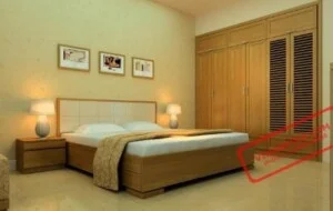 Công Ty TNHH Quốc Tế IDS Việt Nam