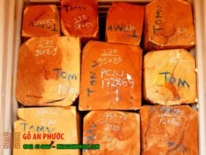Gỗ An Phước – Công Ty TNHH Thương Mại Và Xây Dựng Chế Biến Lâm Sản An Phước