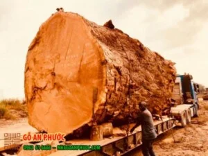 Gỗ An Phước – Công Ty TNHH Thương Mại Và Xây Dựng Chế Biến Lâm Sản An Phước