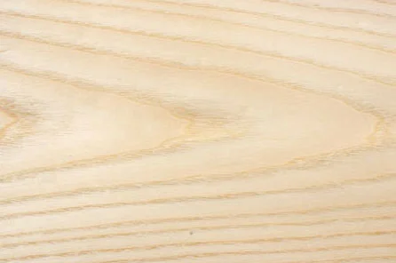 Gỗ Đông Tây – Công Ty TNHH MTV Gỗ Đông Tây