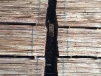 Gỗ Tràm Đồng Nai – Công Ty TNHH Chế Biến Gỗ Thiên Ân Thịnh