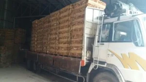 Công Ty TNHH Vượng Đạt Wood