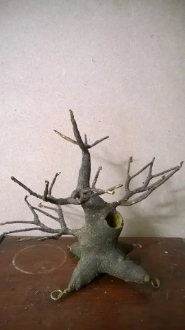 Shop Thế Giới Hoa Voan