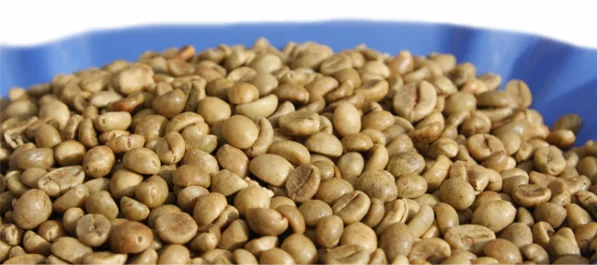 Công Ty TNHH Một Thành Viên Xuất Nhập Khẩu 2-9 Đắk Lắk