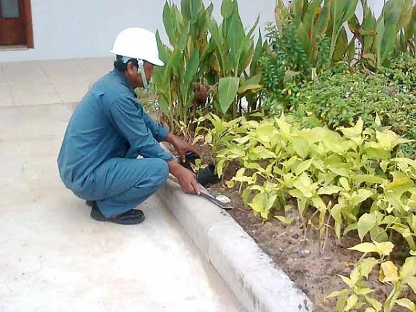 Ngoại Thất Xanh – Công Ty TNHH Ngoại Thất Xanh