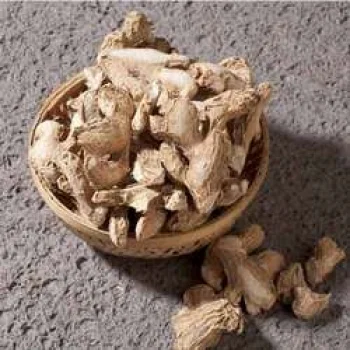 Chi Nhánh Công Ty Cổ Phần Sản Xuất Đông Dương