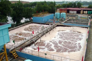 Môi Trường Xuyên Việt – Công Ty TNHH Môi Trường Xuyên Việt