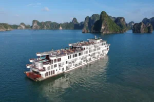 Công Ty TNHH MTV Khám Phá Việt Nam