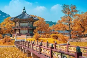 Công Ty TNHH Du Lịch Việt Du