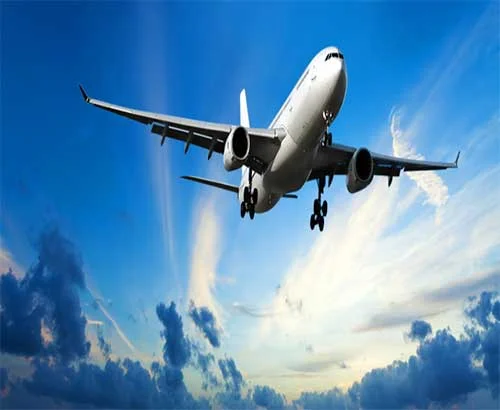 Công Ty TNHH Tiếp Vận Quốc Tế Đen Ta