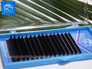 Lông Mi Giả HCT – Công Ty TNHH HCT EYE LASHES