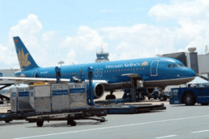 Công Ty TNHH Dịch Vụ Hàng Hóa Con Thoi