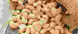 Công Ty TNHH Qualitex